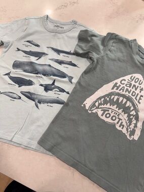 Life is Good and Crewcuts Kids Shark Shirt Bundle Size Youth Small